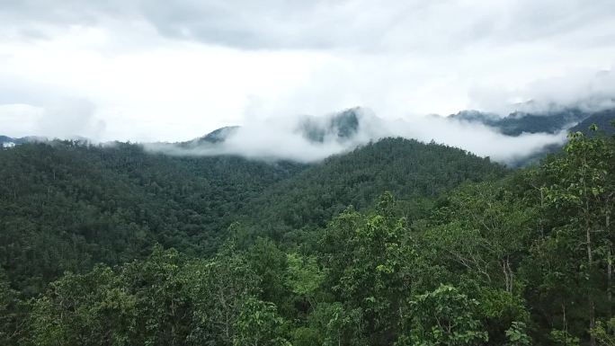 泰国清迈拜县热带雨林航拍