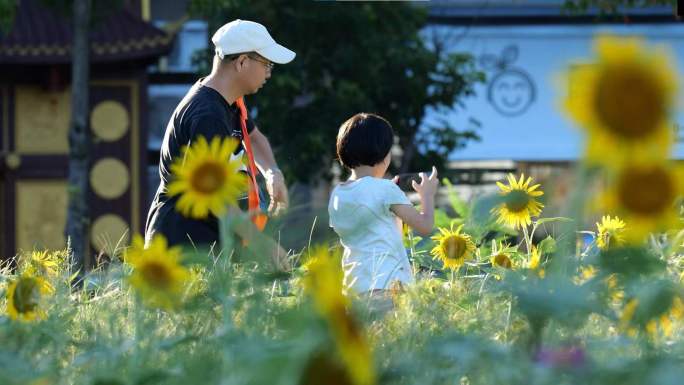 夏天周末公园人文休闲散步下棋亲子活动