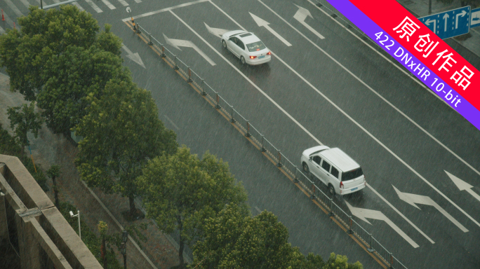 【4K60帧升格】 暴雨 大风 城市暴雨