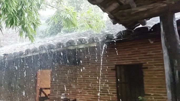 农家庭园小院情调植物小屋屋檐瓦楞雨水雨滴