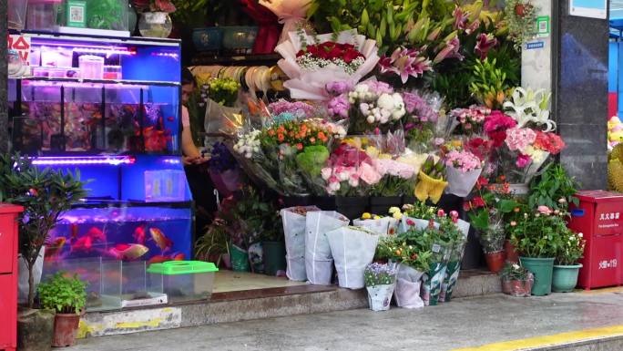 下雨天的花店金鱼店门口