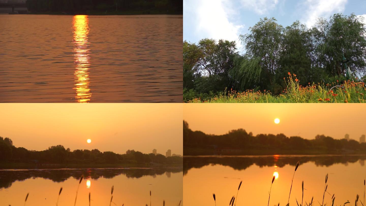 河边夕阳落日夕阳红水边日出小草湖边小清新