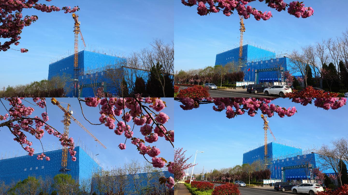 延时拍摄樱花盛开的建筑工地