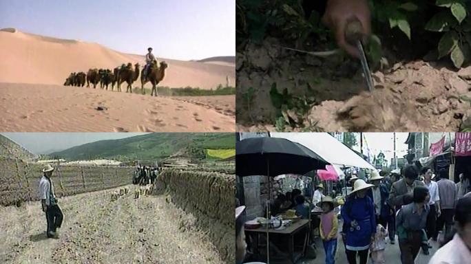 90年代青海沙漠骆驼商队