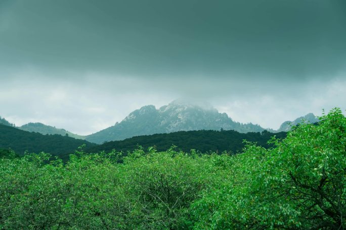 秦岭山脉原始森林