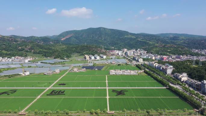 玉环沙门大沙湾田园风光