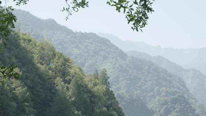 寺庙净业寺 山林 寺庙空境 佛教圣地