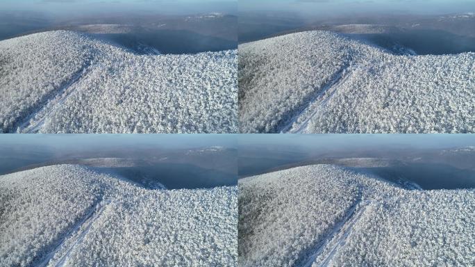 航拍大兴安岭林海雪原