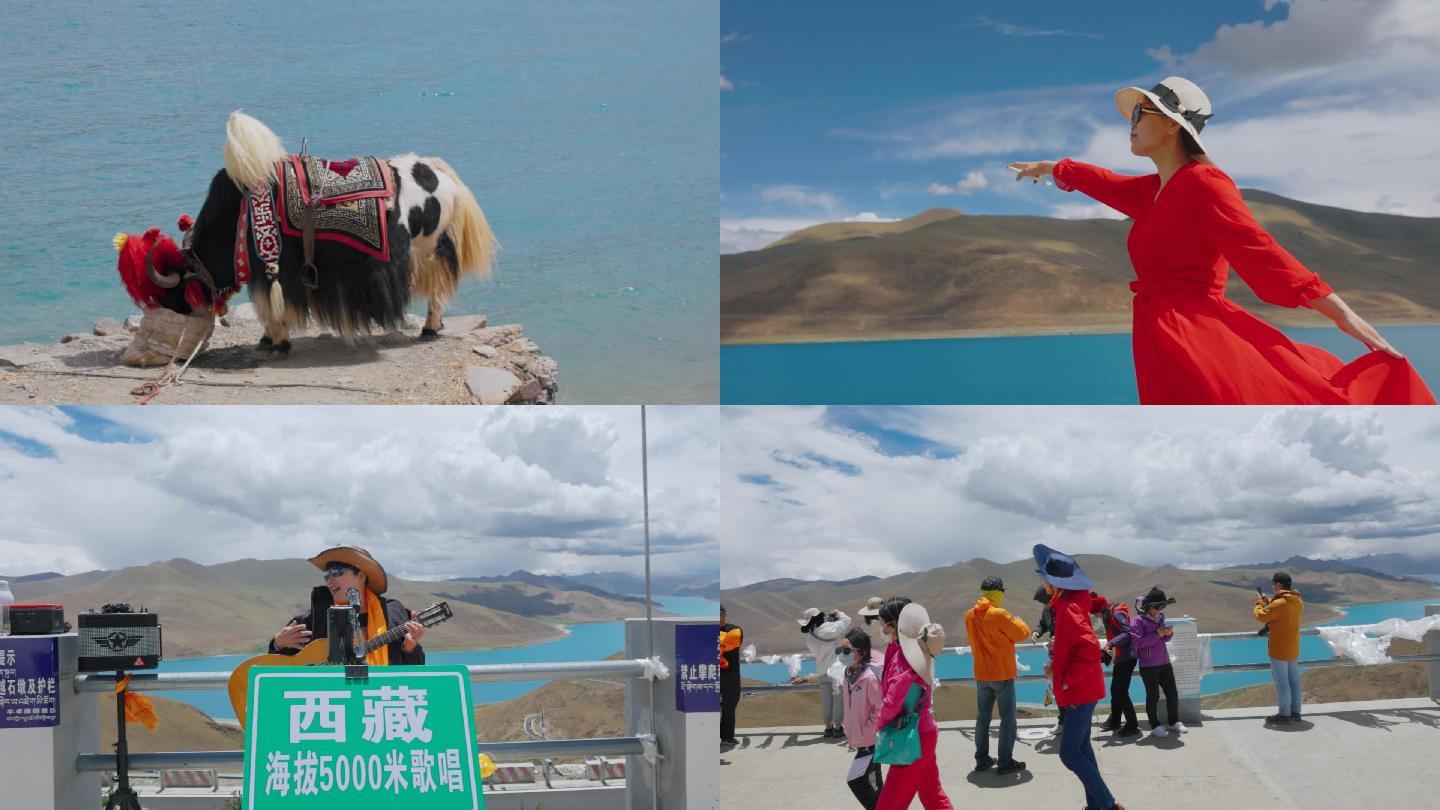 西藏羊湖游客