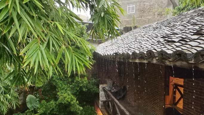 乡情情调植物小屋屋檐瓦楞雨滴连连农家庭园