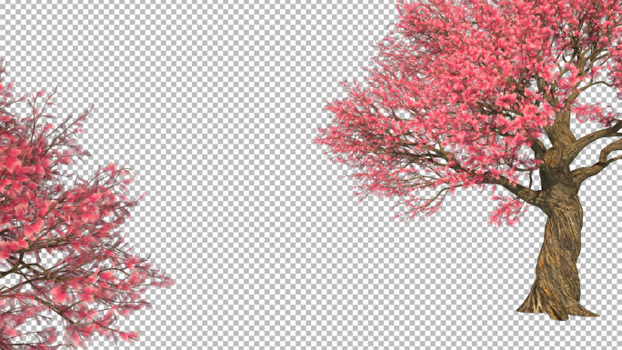 前景桃花树-带透明通道