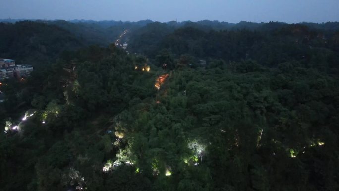 四川省乐山市城市夜景航拍