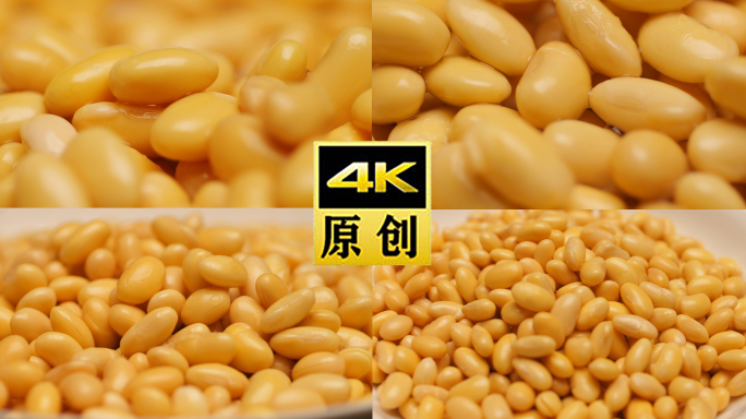 4K黄豆-大豆黄豆-小黄豆-豆制品-豆子