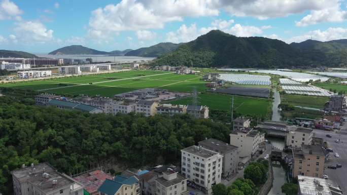 台州玉环沙门街  大沙湾田园 美丽乡村