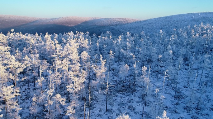 航拍大兴安岭林海雪原