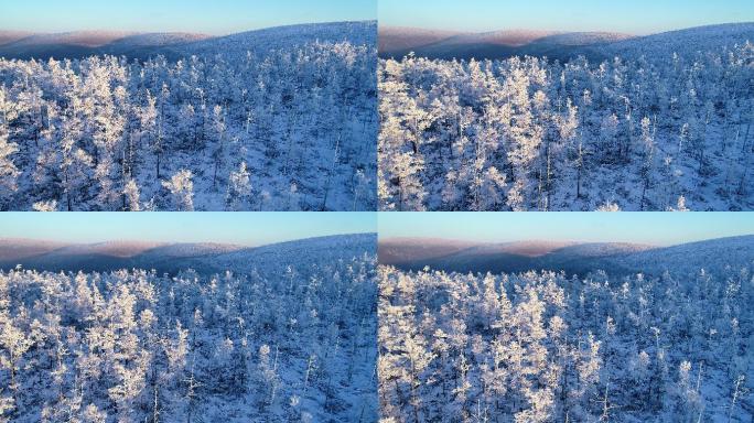 航拍大兴安岭林海雪原