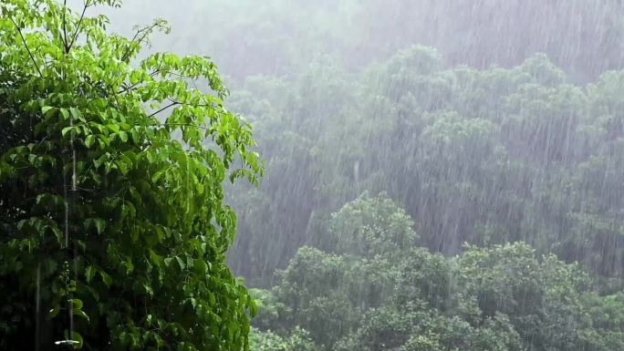 实拍大雨暴雨