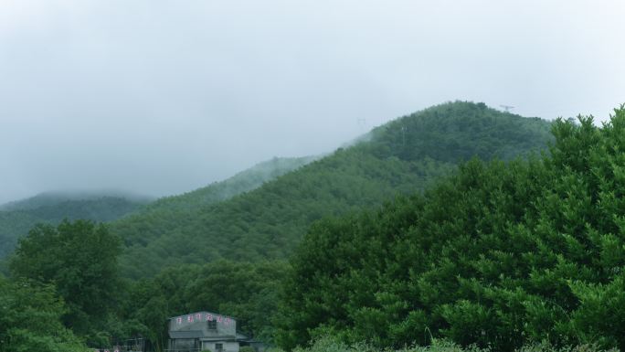 山林雨景