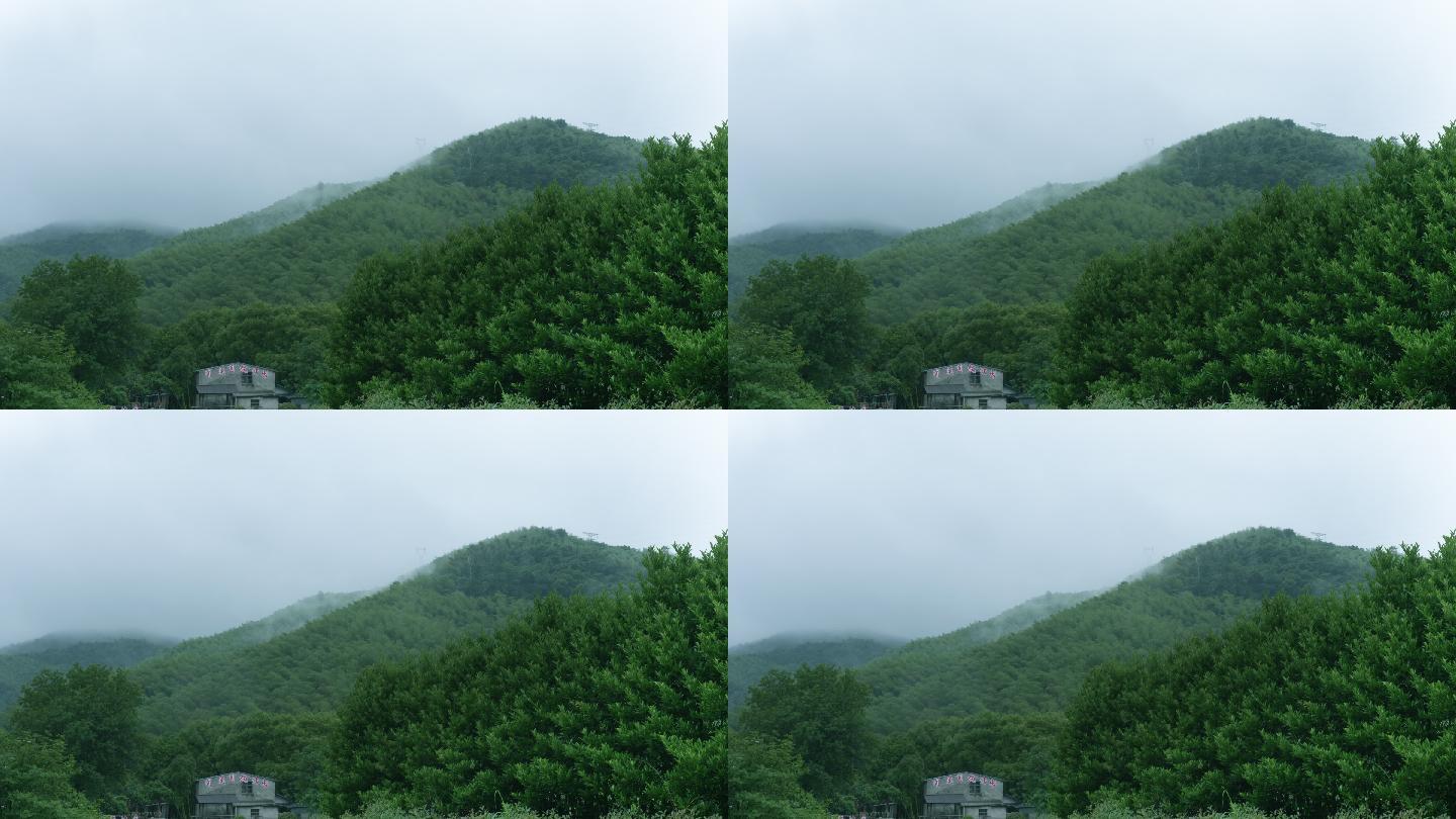 山林雨景