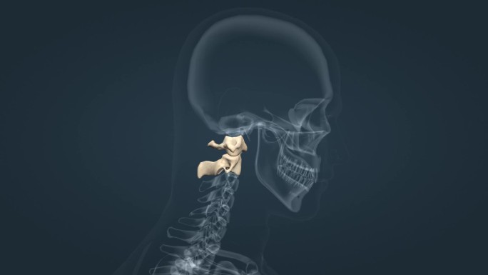 颈椎寰枕关节寰枢椎运动三卫东