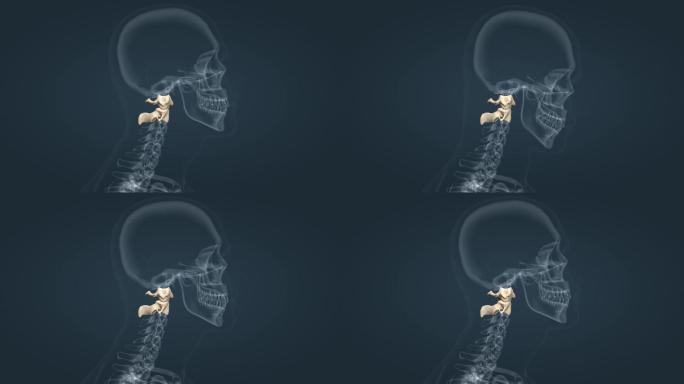 颈椎寰枕关节寰枢椎运动三卫东