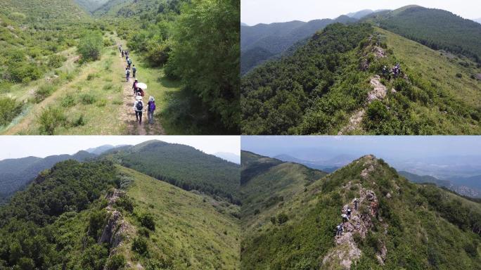 原始森林山顶徒步登山的行人