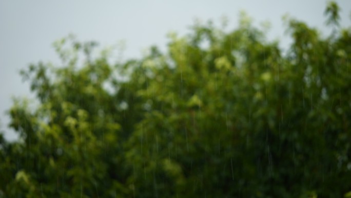 风雨交加