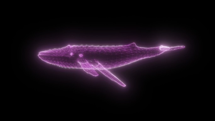 全息紫色鲸鱼动画透明通道素材