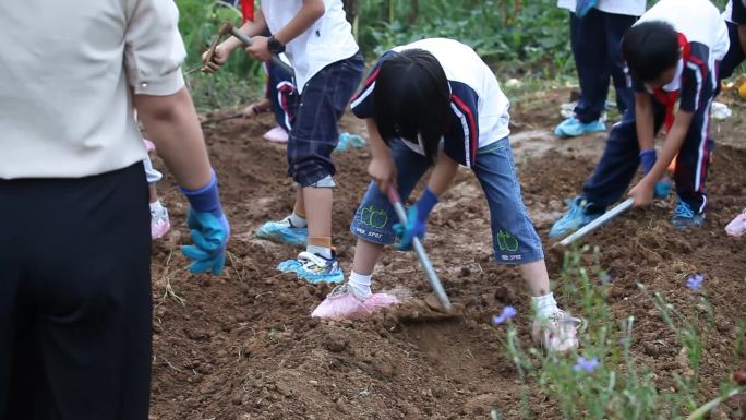 学生劳动种植场景