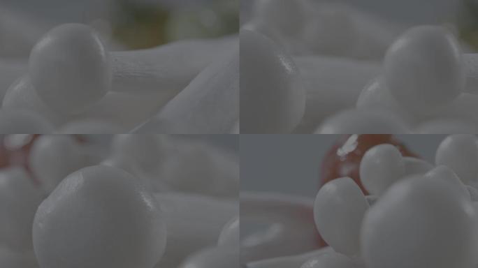 海鲜菇 菇 顺昌菇 顺昌海鲜菇 灰度