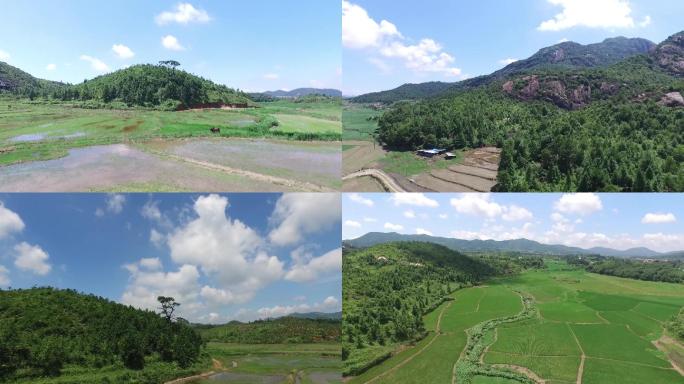 山峰湿地稻田竹林寺院