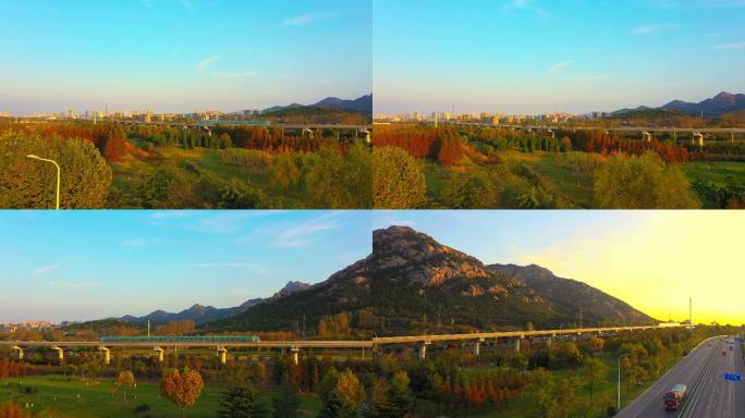 航拍秋天列车穿过漫山遍野的红叶 秋天轻轨