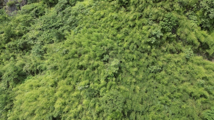 航拍大自然山谷湖南中方仙人谷 (7)