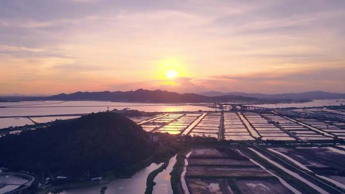 珠海金湾区的海田