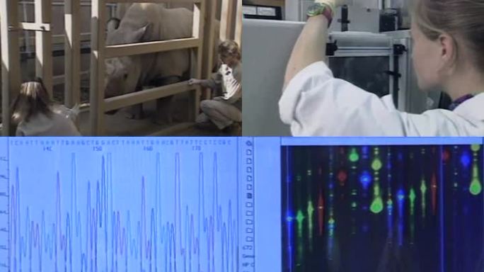 90年代动物DNA实验室