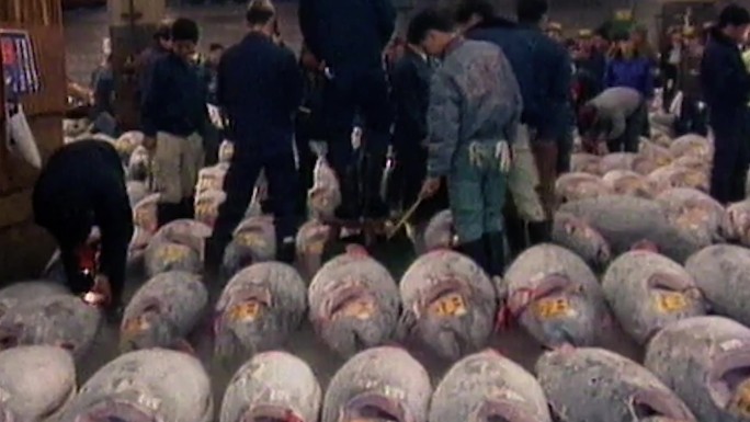 90年代东京鱼市渔民加工厂海鲜