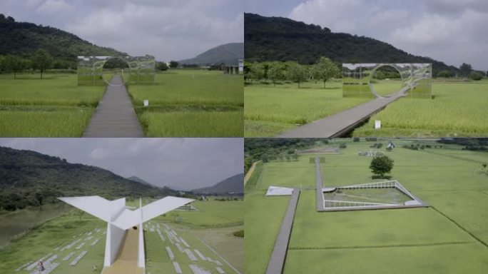 广州郊区 从化风云岭森林公园4K