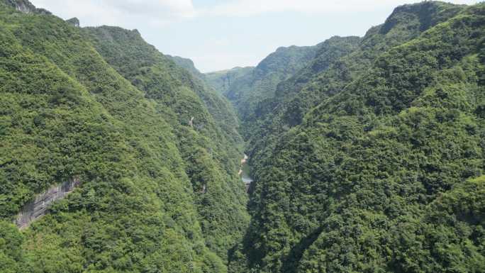 航拍大自然青山山谷风景 (4)