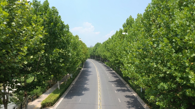 合肥高新区枫林路大蜀山