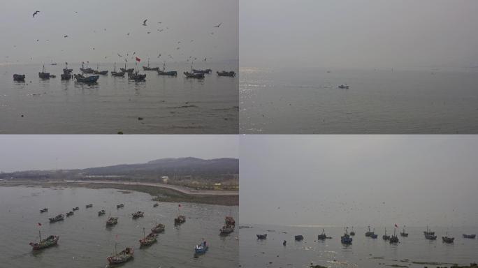 【原创4K】港口停泊的渔船