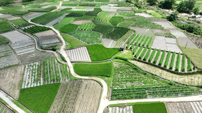 阳光下桂林小河旁的稻田和薄膜覆盖的大棚