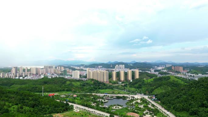 湿地公园雨后掠影