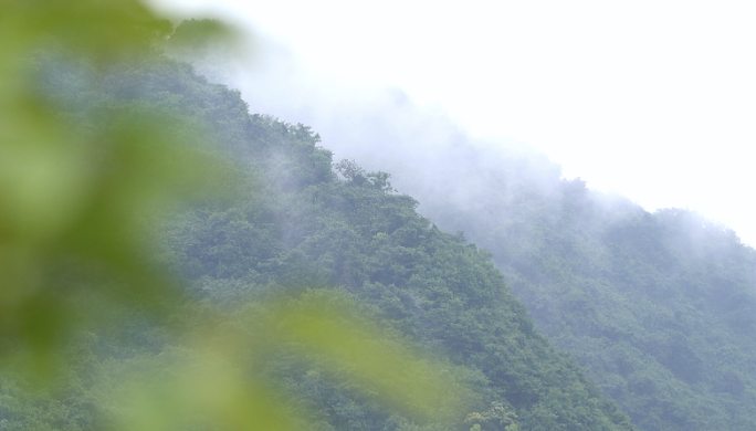 大山雨雾 云雾缭绕 雨后空境