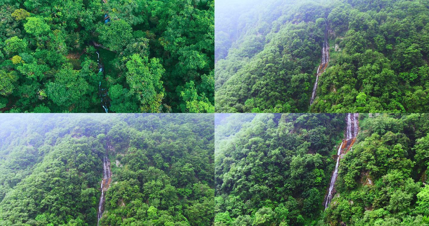 大自然 流水 飞溅 悬崖 瀑布 绿色丛林