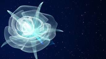 粒子玫瑰花特效花粒子花开开粒子花唯美视频素材