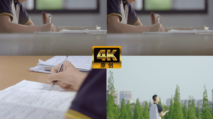 少年学习 高中生中学生学习 校园学校