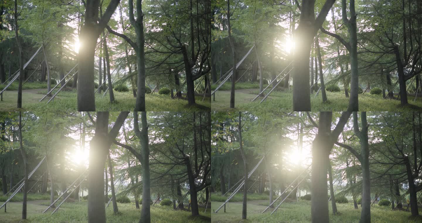8K实拍夏天逆光阳光树叶唯美空镜头意境