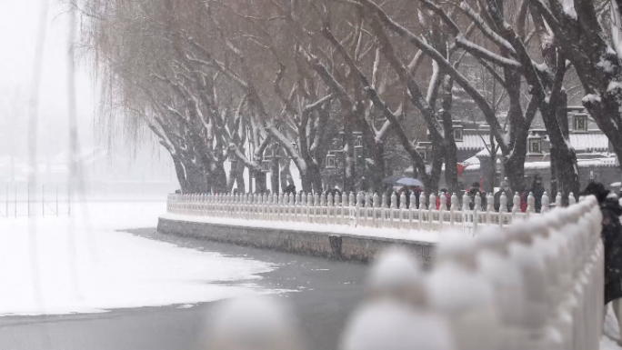 北京什刹海游人雪景