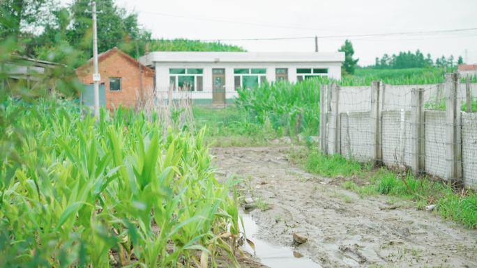 4k农村泥泞的道路