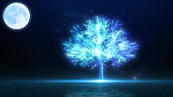 唯美粒子旋转树-3视频素材